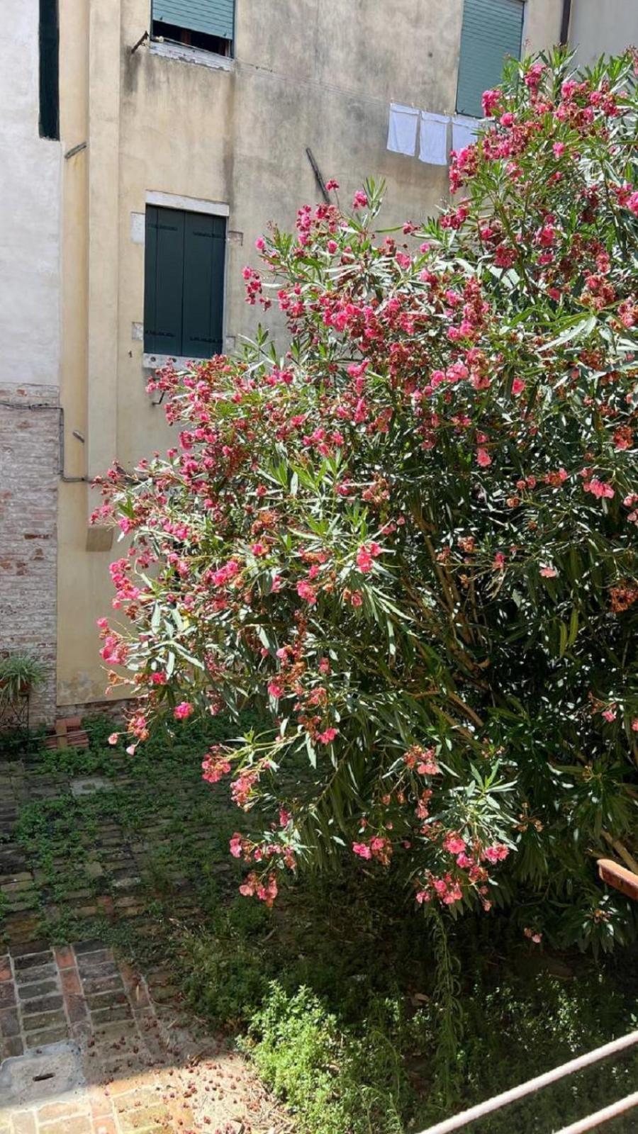 Ania Apartment Venice Luaran gambar